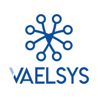 VAELSYS logo - Similar company to Kron Analytics