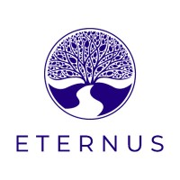 Eternus Group logo - Similar company to Candela Data