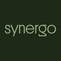 Synergo Consulting logo - Similar company to Bab Engineering