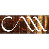 Camryn Turner - Financial Consultancy and Outsourced CFO Services logo - Similar company to Green Spinach Cfo Services