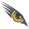 Eagle Eye Security Solutions Ltd. logo - Similar company to Adzlok