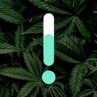 Grupo cannaVita logo - Similar company to Cannabis Consensus Ch