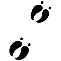ANTHRA logo - Similar company to Ficus Education