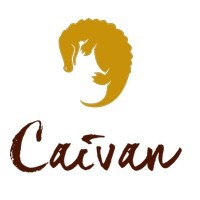 CAIVAN logo - Similar company to Imageware