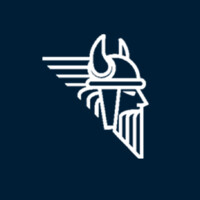 Viking Coders logo - Similar company to Tripful