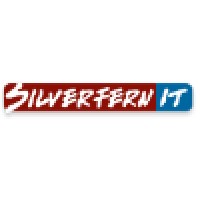 Silverfern IT logo - Similar company to Moondreamz Inc