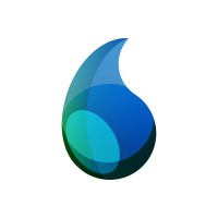 SONELI International logo - Similar company to Dmarquitectura