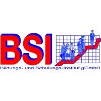 BSI Bildungs- und Schulungs-Institut gGmbH logo - Similar company to Systeam Gmbh