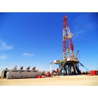 Oil&Gas Service in Algeria logo - Similar company to Algerian Oil & Gas Talents Bank