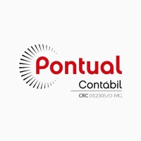 Pontual Contábil Ltda logo - Similar company to Grupo Palmares