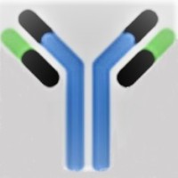 Precision Biologics, Inc. logo - Similar company to Srfc Bio, Inc.