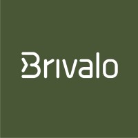 Brivalo Consulting AB logo - Similar company to Digital Portfolio Control (Dpc)