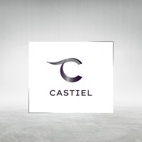 CASTIEL project logo - Similar company to Ffplus
