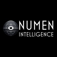 Numen Intelligence logo - Similar company to Eureka! Interactive Consulting