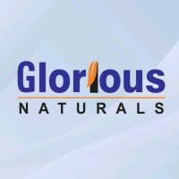 Glorious Laboratories logo - Similar company to Neu Mex Healthcare Laboratories (Pvt.) Ltd