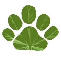 Stoner Cats logo - Similar company to Intelligame