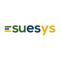 Suesys Learning logo - Similar company to Techno Placements