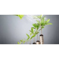 VerdantEdge AgriTech logo - Similar company to Competitive Edges Research