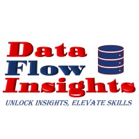 Data Flow Insights logo - Similar company to Zeroai Technologies Inc