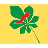 KSHOES logo - Similar company to K Shoes