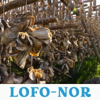 Lofo-Nor Nigeria Limited logo - Similar company to Equatorial Aquatics