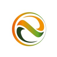 NSC EGYPT logo - Similar company to Phoenix Security Systems, Inc.