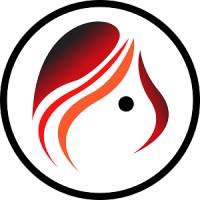 Very Good Friend Ltd logo - Similar company to Mad Fellows