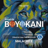 LEO CLUB BRAZZAVILLE BOYOKANI logo - Similar company to Explore Company