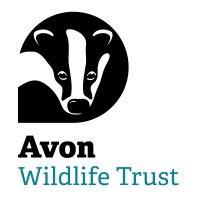Avon Wildlife Trust logo - Similar company to Bath Community Kitchen