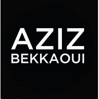 AZIZ BEKKAOUI logo - Similar company to Equilabs