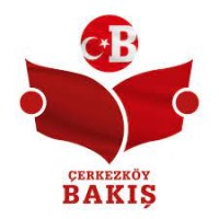 Çerkezköy Bakış Gazetesi logo - Similar company to Qant Creative