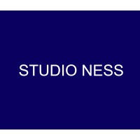 Studio Ness logo - Similar company to Zh Architecture