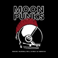 MOONPUNKS logo - Similar company to Dark Knights
