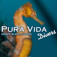 Pura Vida Divers logo - Similar company to Diver'S Paradise