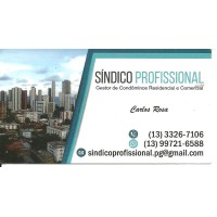 SINDICO PROFISSIONAL logo - Similar company to Síndiconet
