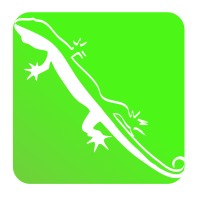 Sand Lizard Technical Solutions Ltd logo - Similar company to Dwa Ecology