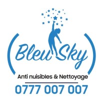 Bleu Sky logo - Similar company to Amlec