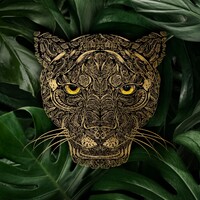 Full Power Cacao logo - Similar company to Project Ctrls