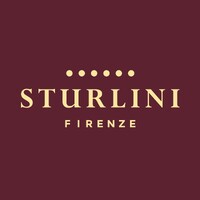 STURLINI logo - Similar company to Sozzi Milano