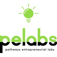 Pelabs Llc