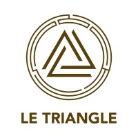 Le Triangle Escape Game logo - Similar company to Gg Escape Game