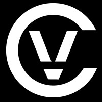 VIC GAME STUDIOS logo - Similar company to Moonlabs Game Studios