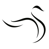 Black Swan Analysis logo - Similar company to Onecare Platform