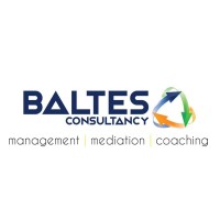 Baltes Consultancy logo - Similar company to Workforce Solution