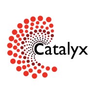 Catalyx logo - Similar company to Lekwa Local Municipality