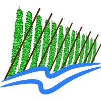 Cowiche Creek Brewing Company logo - Similar company to White Pass Ski Area