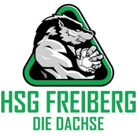 HSG FREIBERG - DIE DACHSE logo - Similar company to Magevision