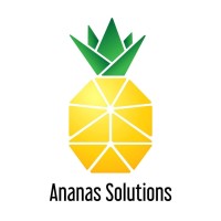 Ananas Solutions logo - Similar company to Meir Industries Pvt Ltd (Ananas)