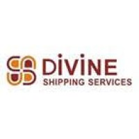 Divine Shipping Services logo - Similar company to Seawind Global Logistics Llp (Seawind Group)