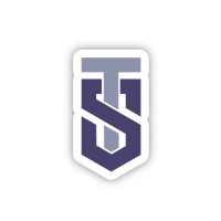 Tax Savvy logo - Similar company to 2Tech Online